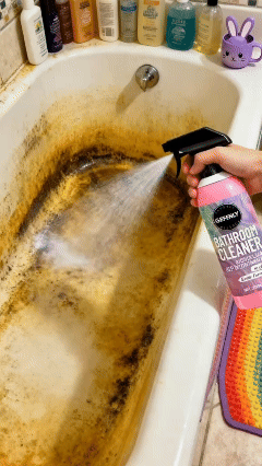 💥Limited-time promotion✨ Bathroom Cleaner: Sparkle in Seconds, No Harsh Fumes